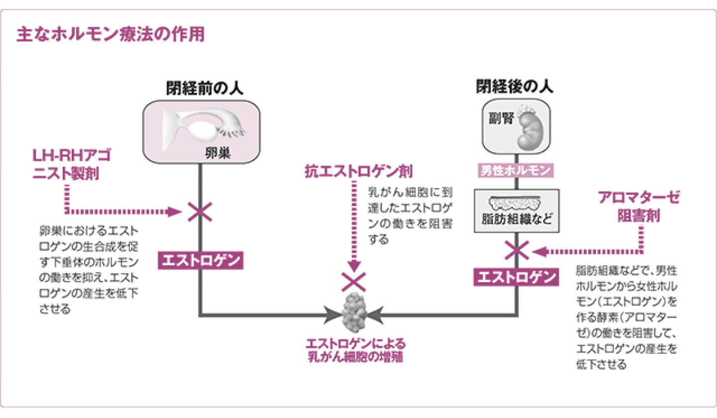 抗 男性 ホルモン 剤