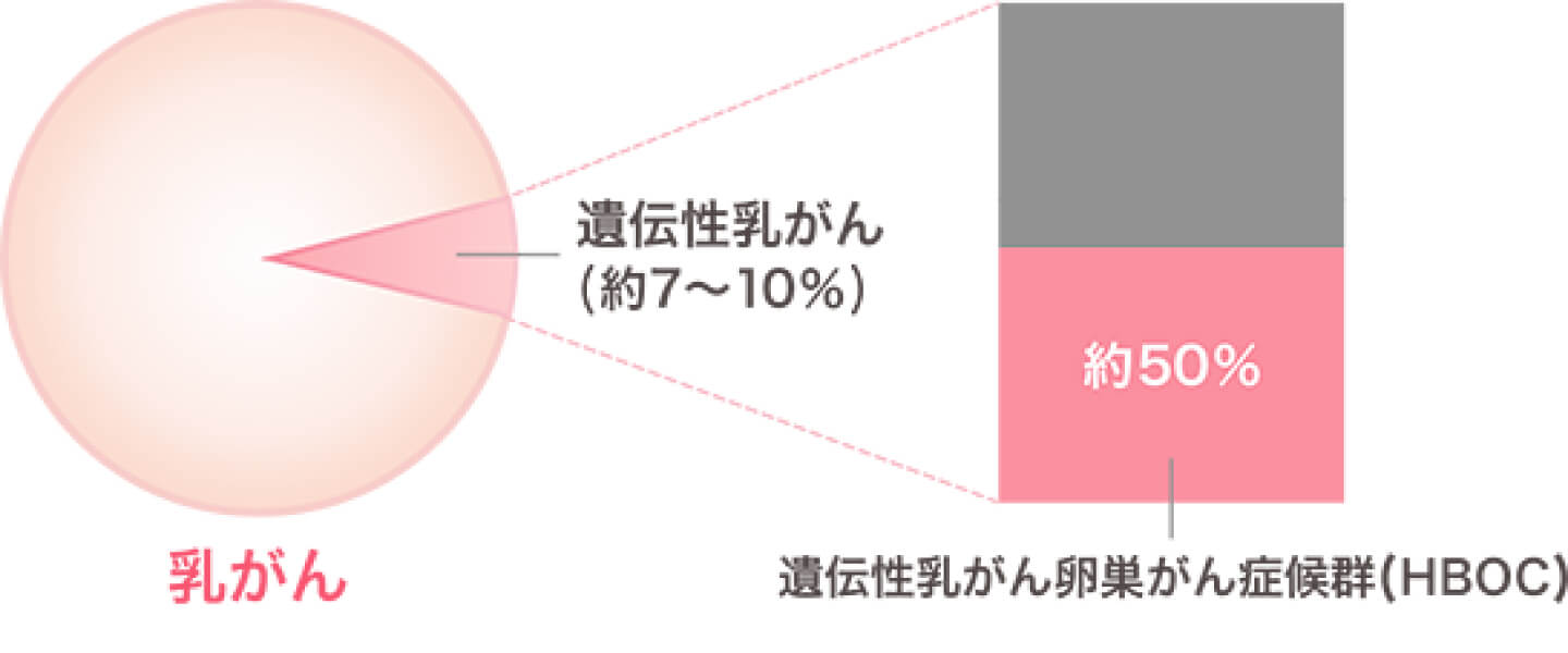 遺伝学的リスク | 乳がんかもしれないと不安なかた | 乳がん.jp