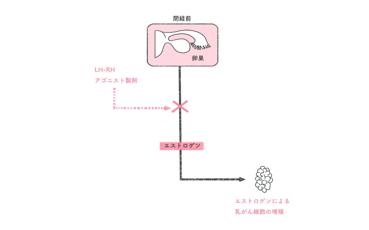 LH-RHアゴニスト製剤 | 再発予防のための術後ホルモン療法 | ホルモン受容体陽性乳がん | 乳がん.jp