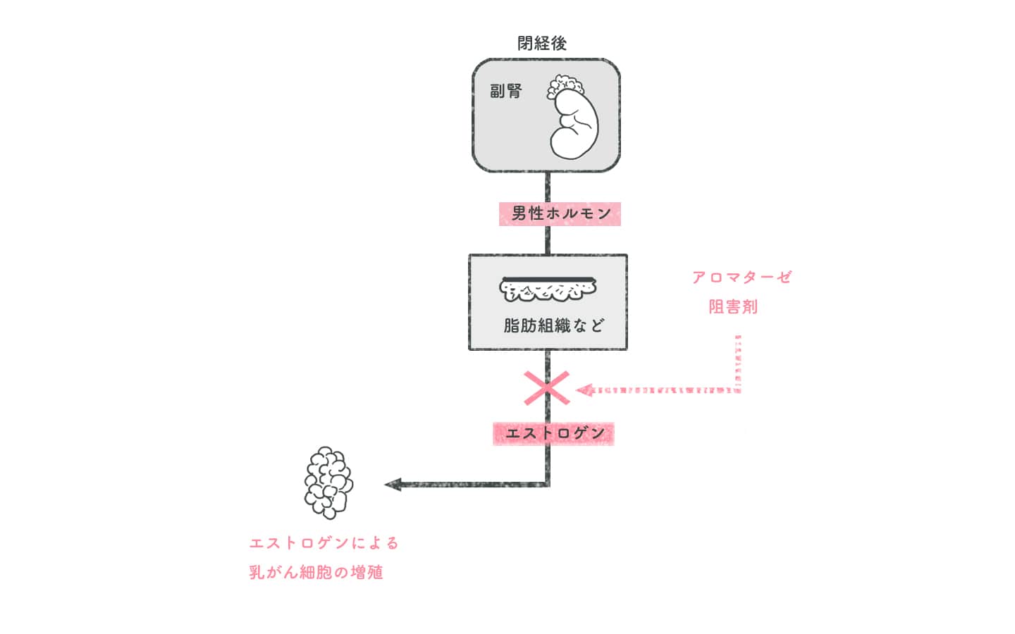 再発予防のための術後ホルモン療法