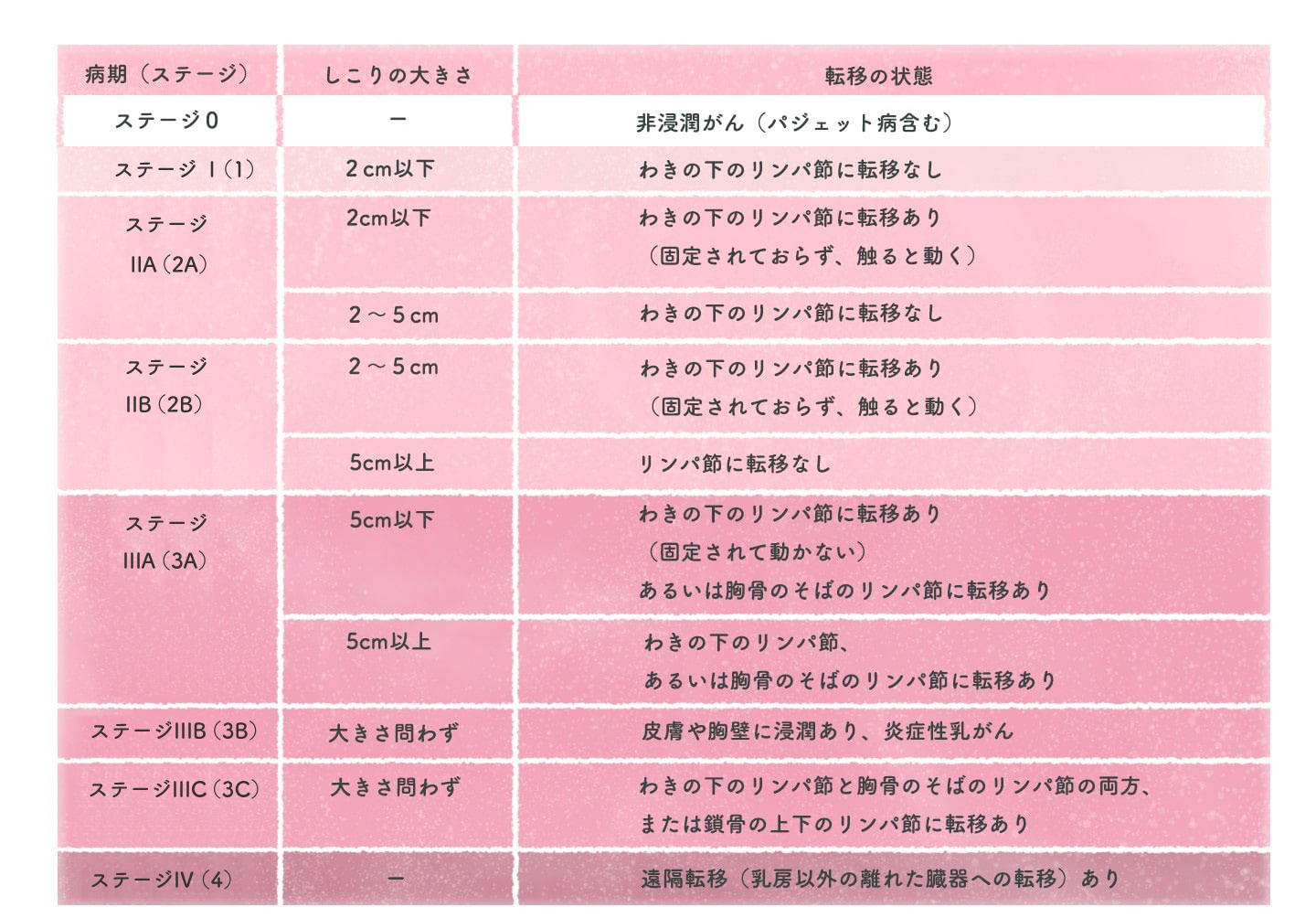 現在の状況を知る | 治療をはじめる前に | ホルモン受容体陽性乳がん | 乳がん.jp