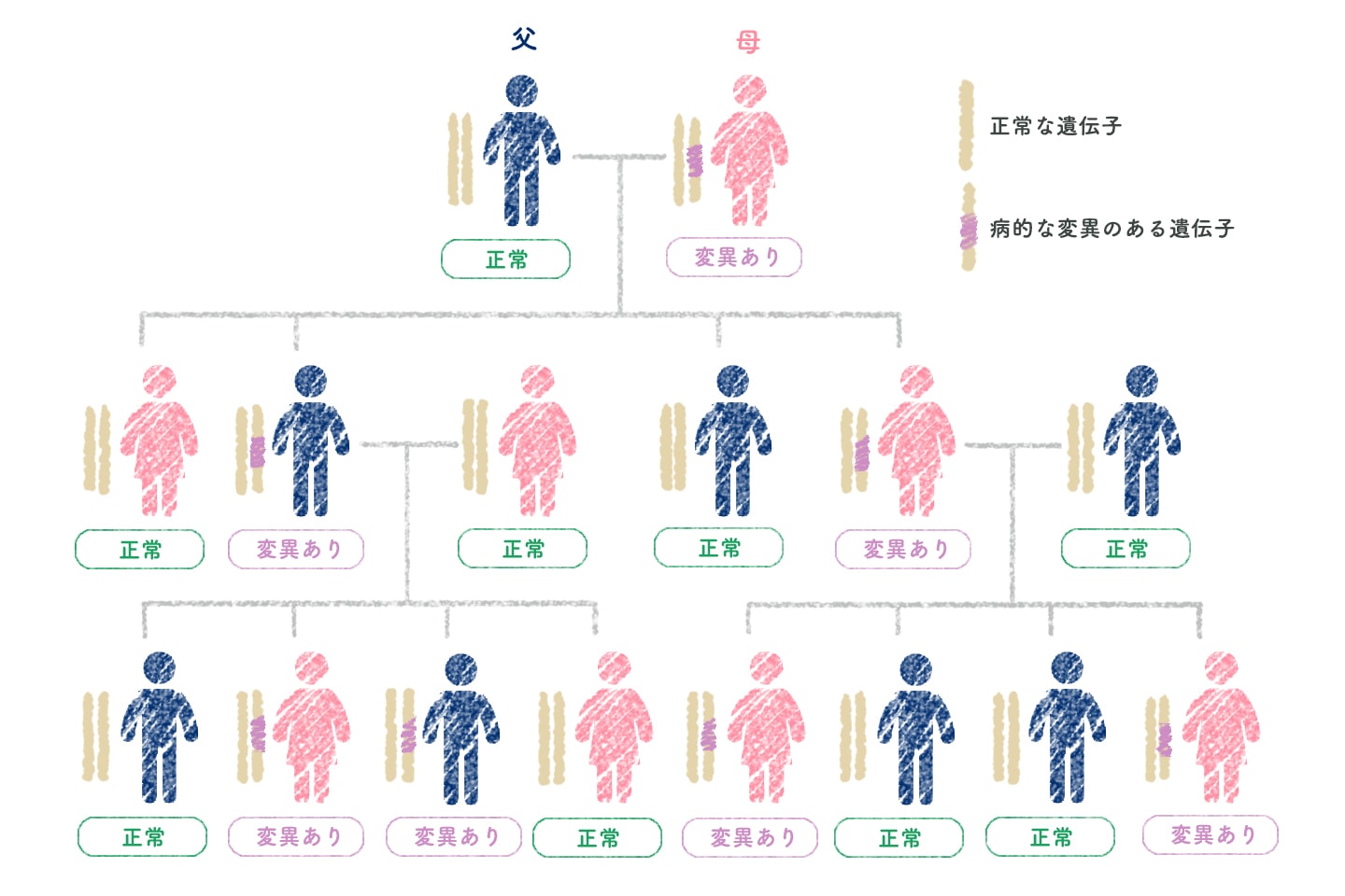 BRCA およびその他の遺伝子変異の検査