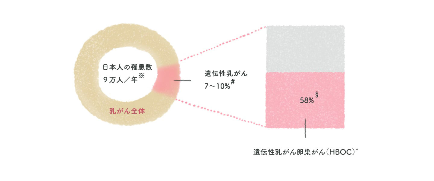 遺伝学的リスク | 乳がんかもしれないと不安なかた | 乳がん.jp